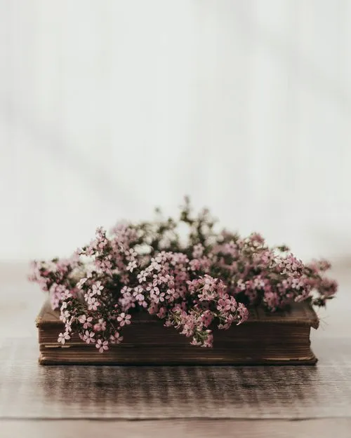 Livre ancien avec fleurs posées dessus