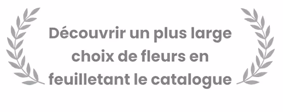 Image avec l'inscription Découvrir un plus large choix de fleurs en feuilletant le catalogue