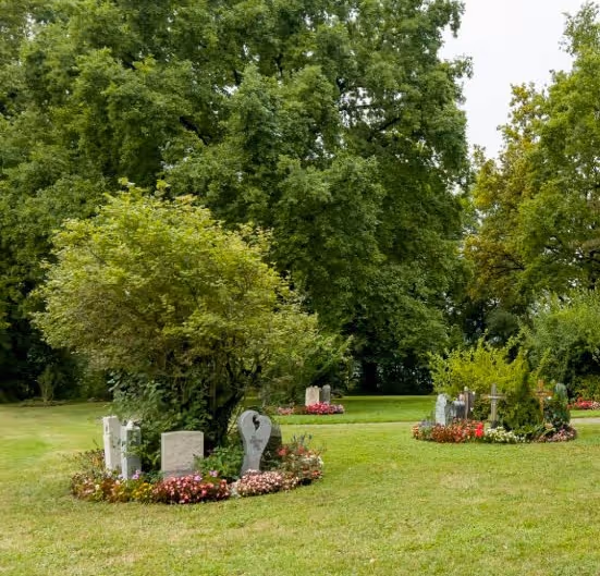 Cimetière bien entretenu