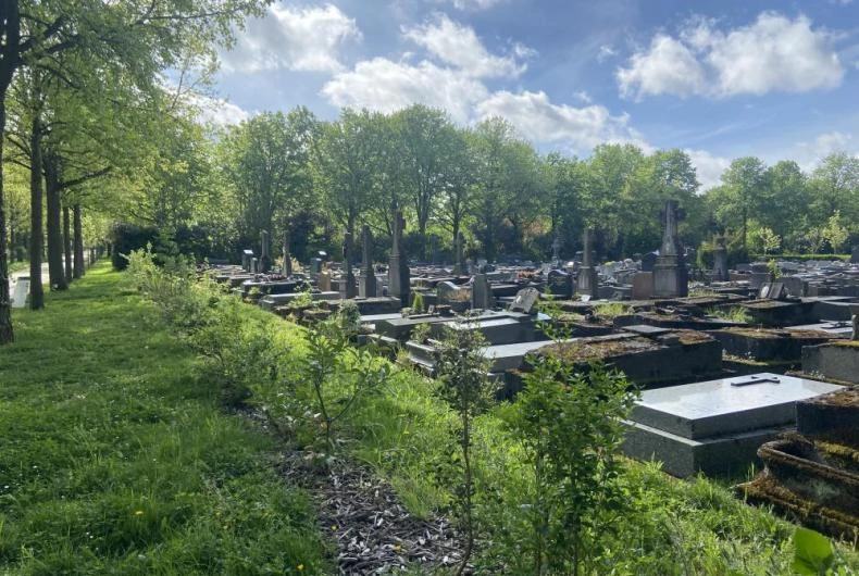 Cimetière de Bagneux