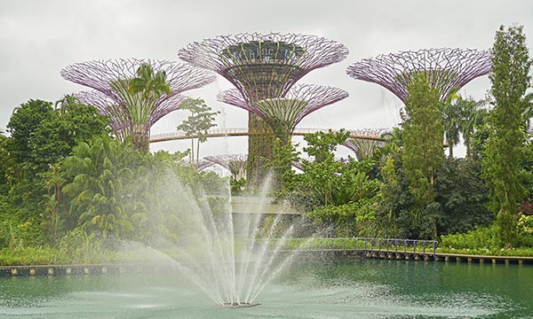 Belgravia Law newsletter (June 2024) — Belgravia Law June 2024 insights and updates: firm news, legal trends, and beyond