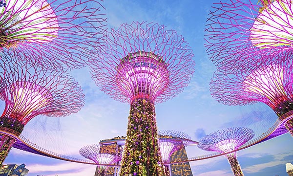 Belgravia Law newsletter (June 2024) — Belgravia Law June 2024 insights and updates: firm news, legal trends, and beyond