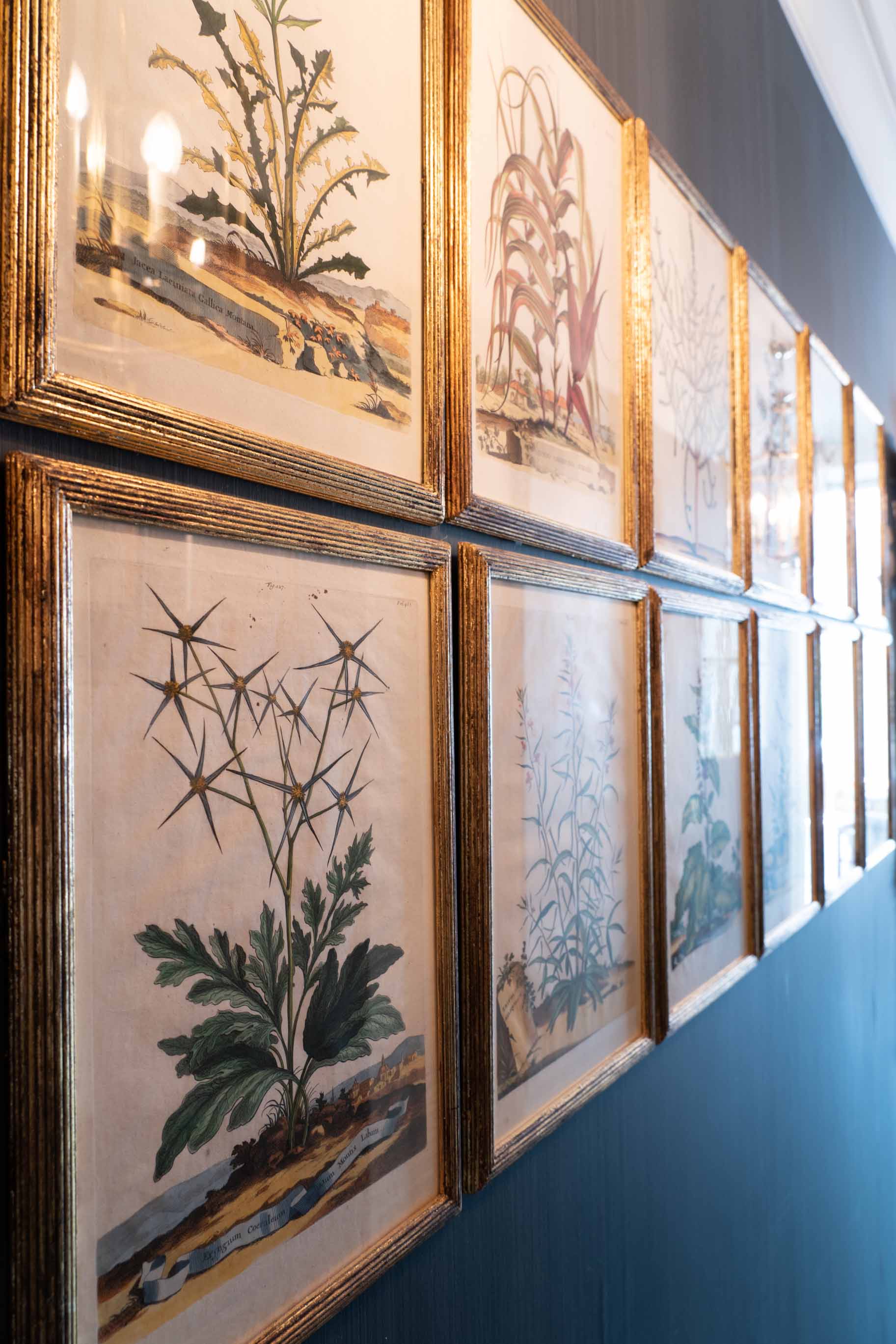 lennox gardens interiors