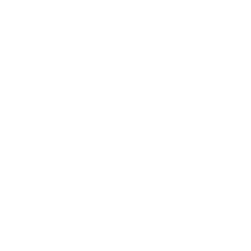 White Email Icon
