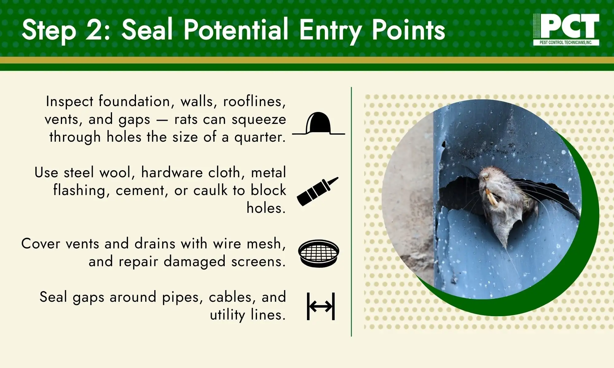 Step 2: Seal Potential Entry Points