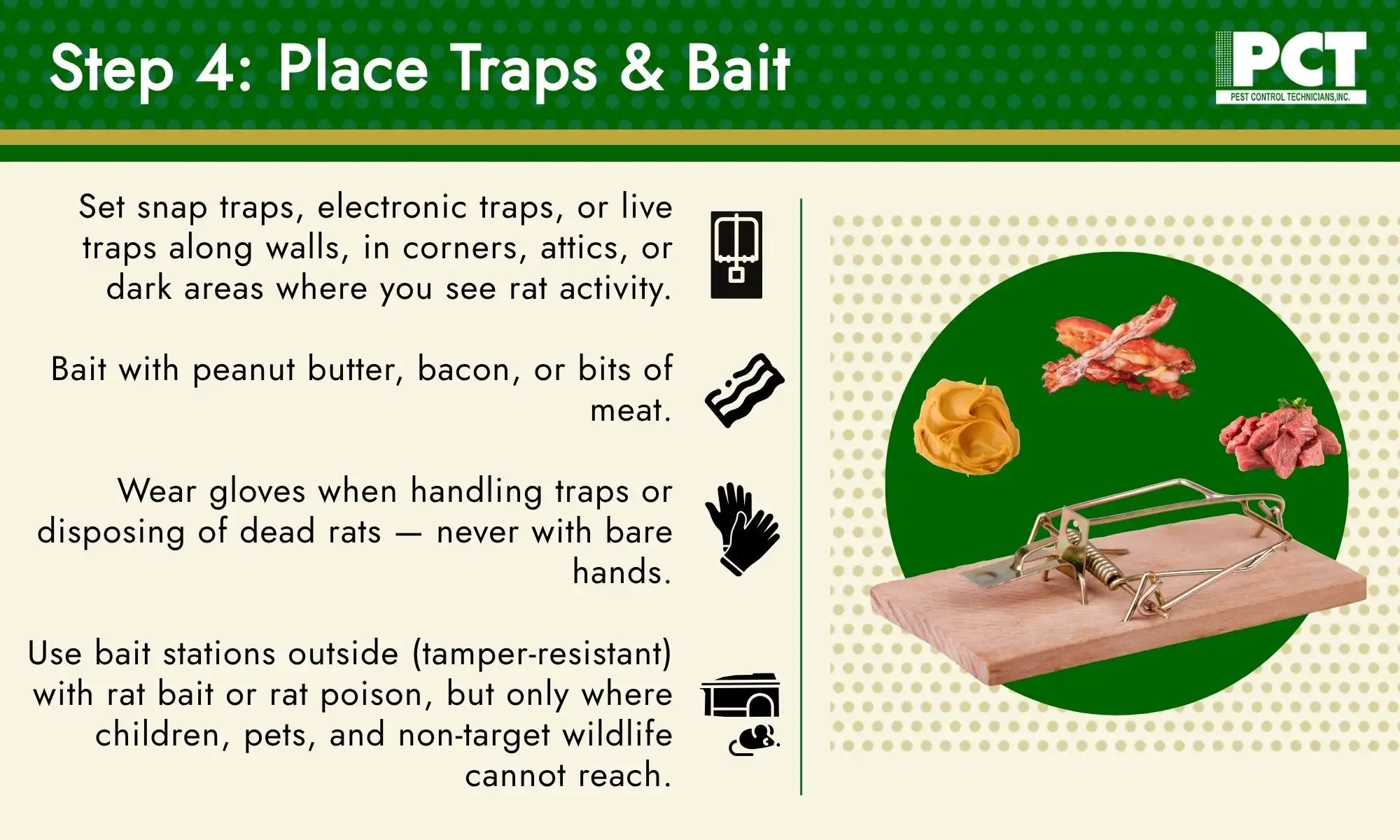 Step 4: Place Traps & Bait