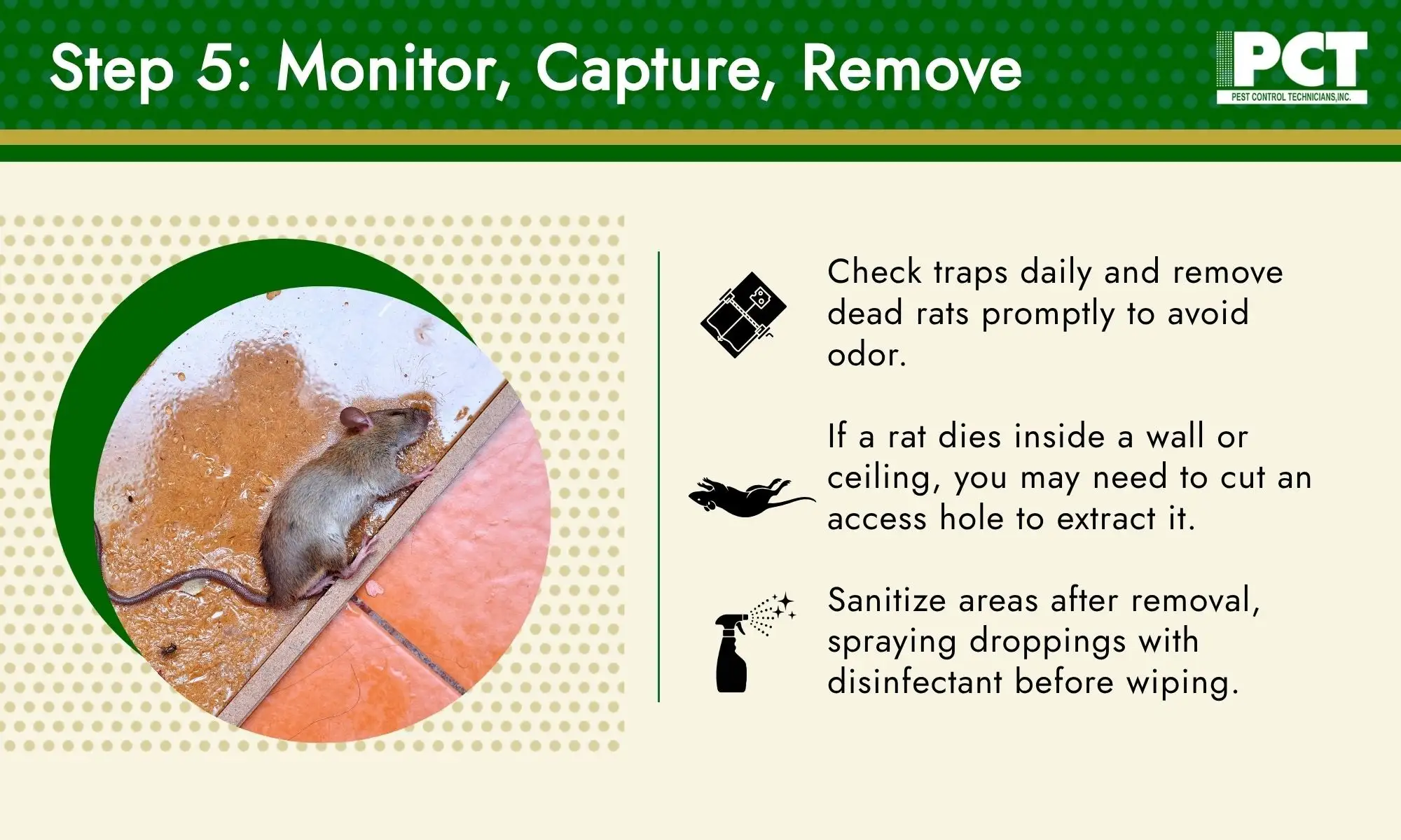 Step 5: Monitor, Capture, Remove 