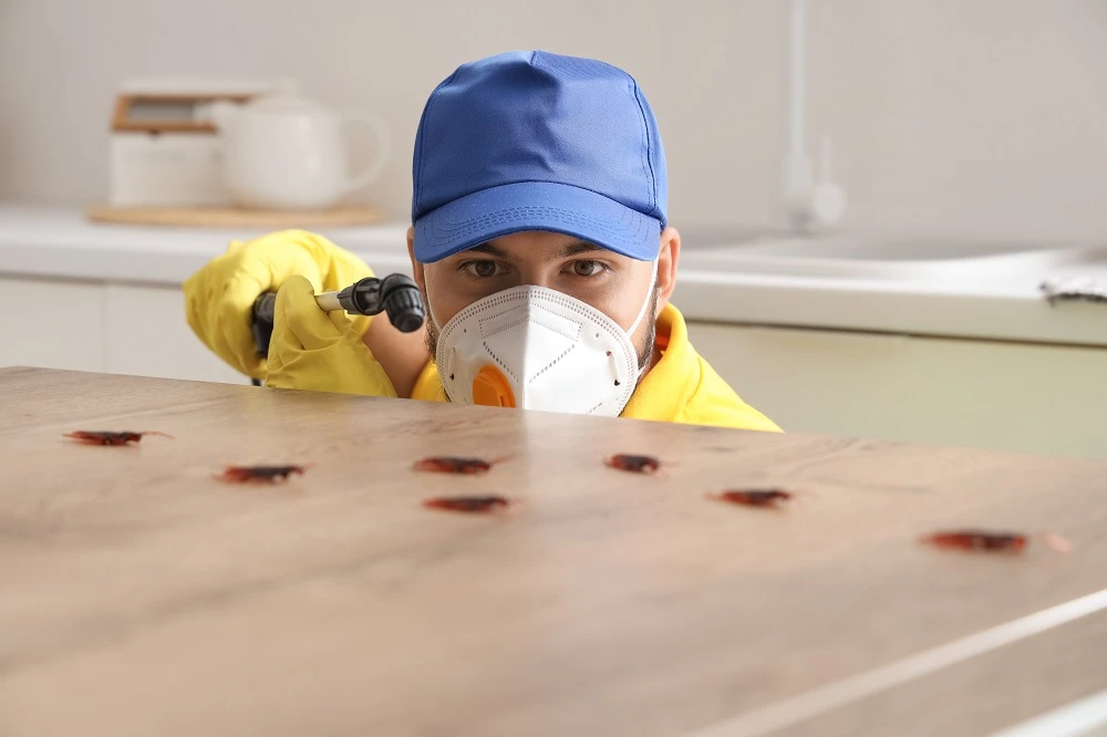 2026 Residential Pest Control Pricing Calculator