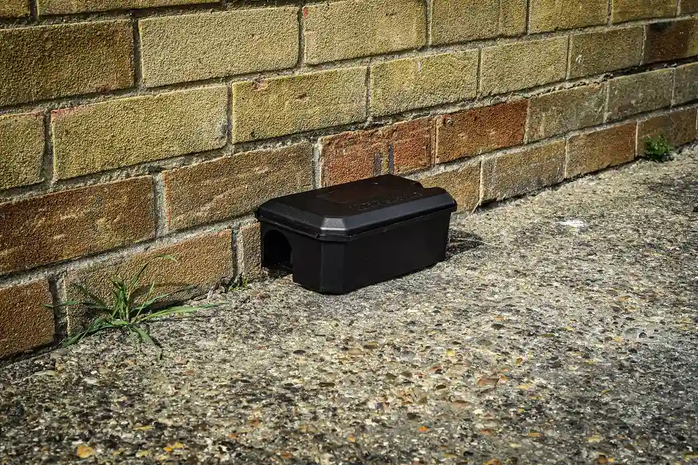 Bait Stations