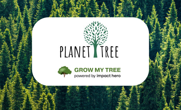 Devware Unternehmenswald, wir pflanzen zusammen mit Planet Tree Bäume in deutschen Wäldern.