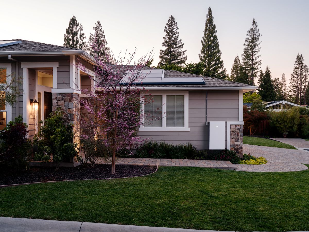 [background image] image of environmentallyfriendly technology (for a green tech/cleantech company)