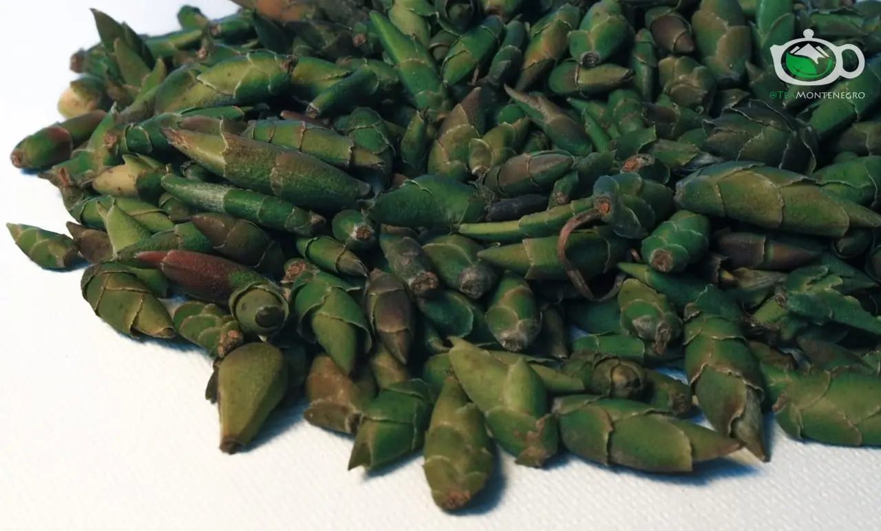 Белые Побеги дикого чайного дерева из Вьетнама "Коготь Дракона"