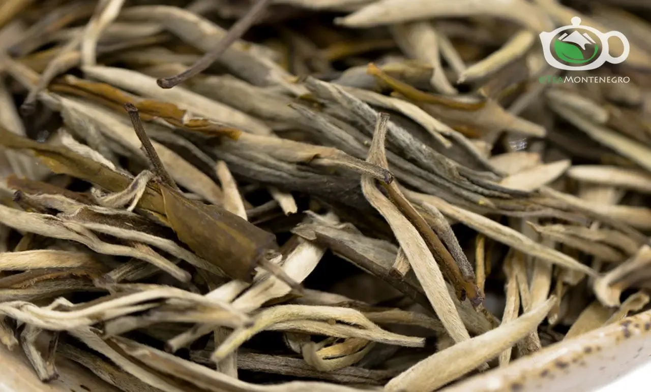 Юньнань Байхао Иньчжэнь (Серебрянные иглы)