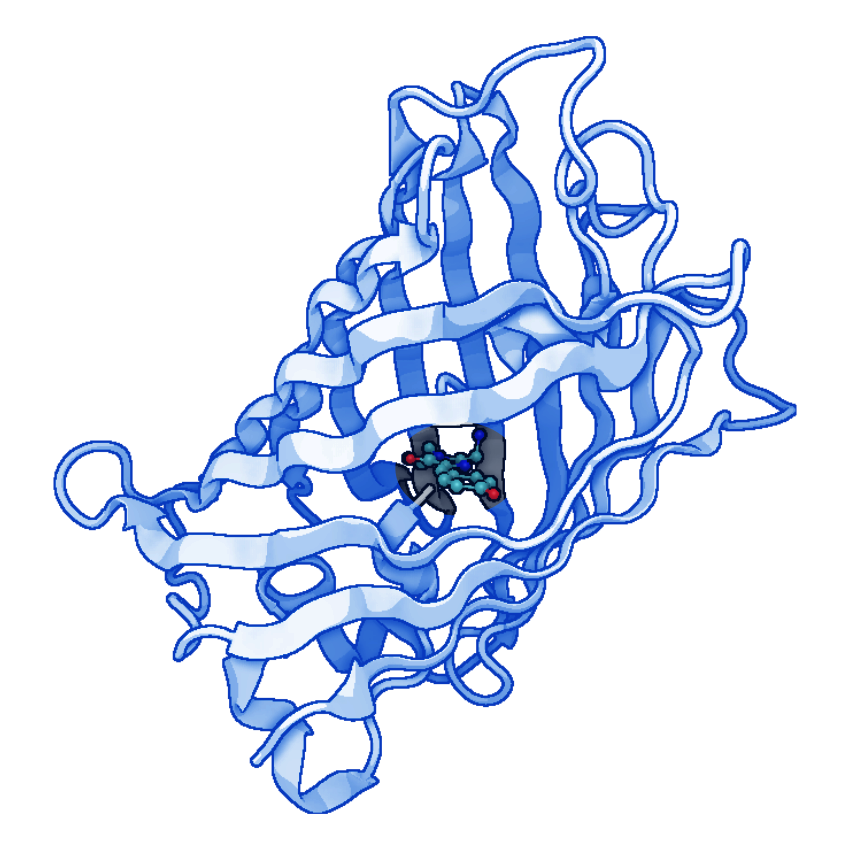 RosettaFold-3 | 1YFP