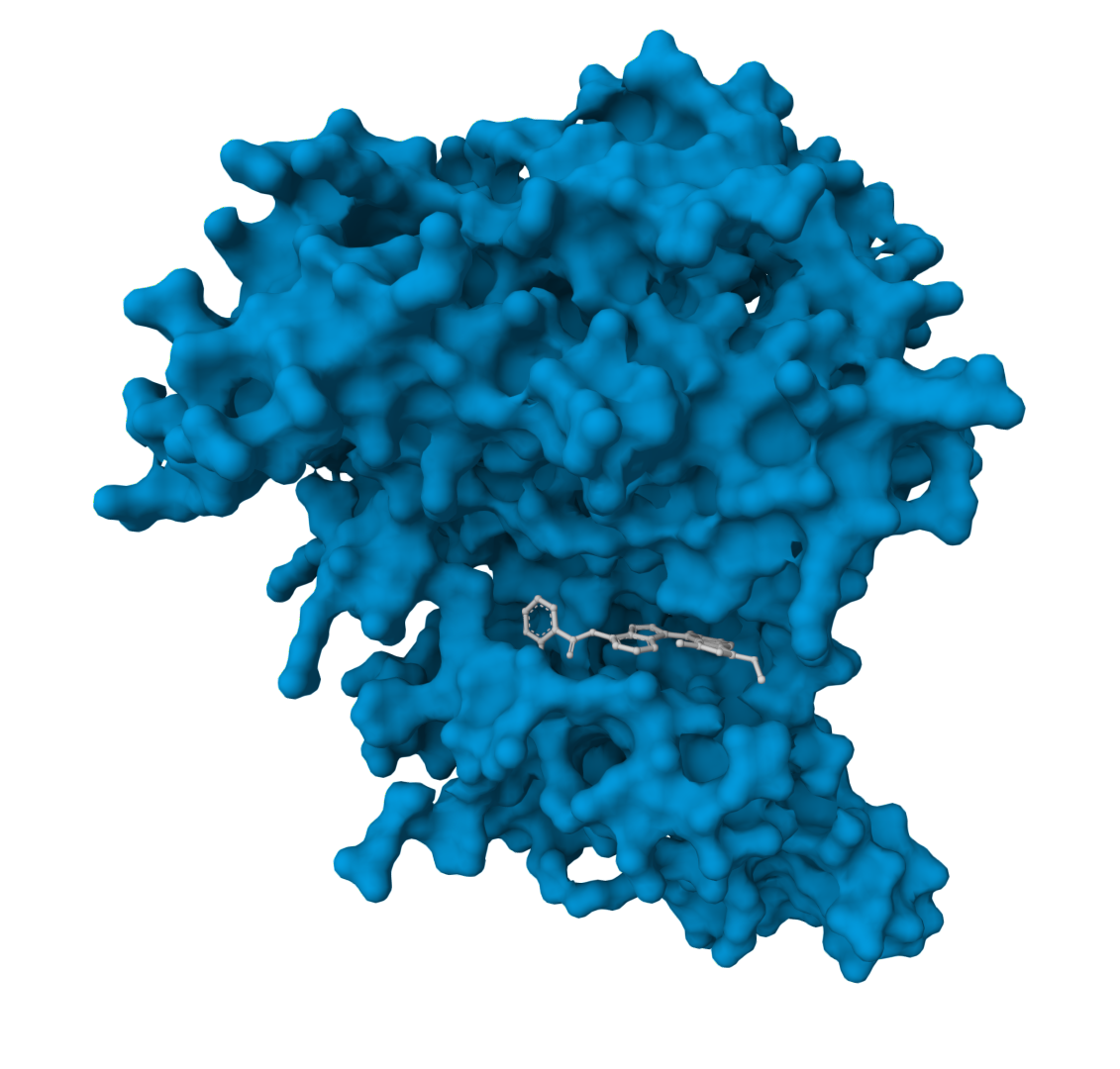 Enzyme structure (Mol* export)