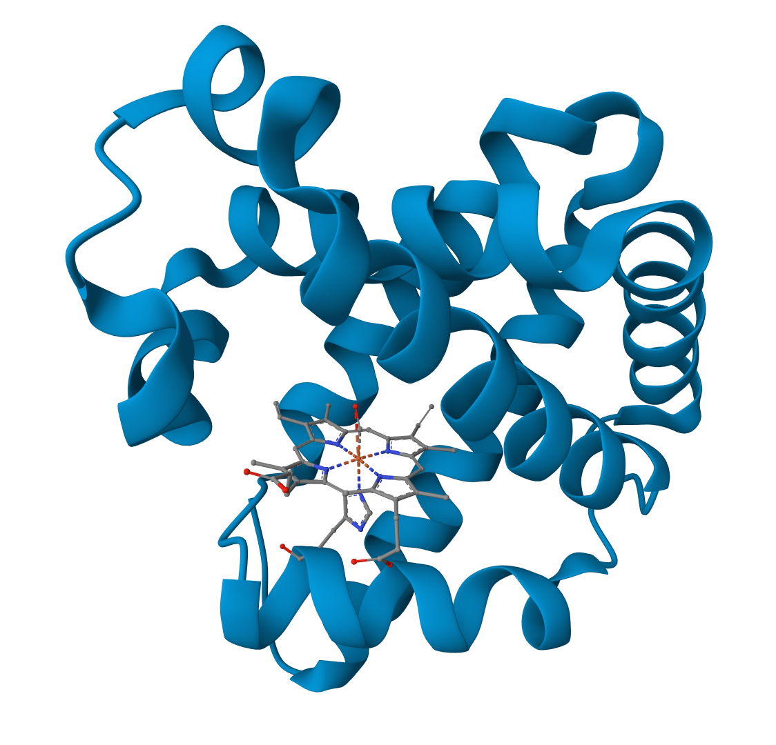 Ligand–protein complex (Mol* export)