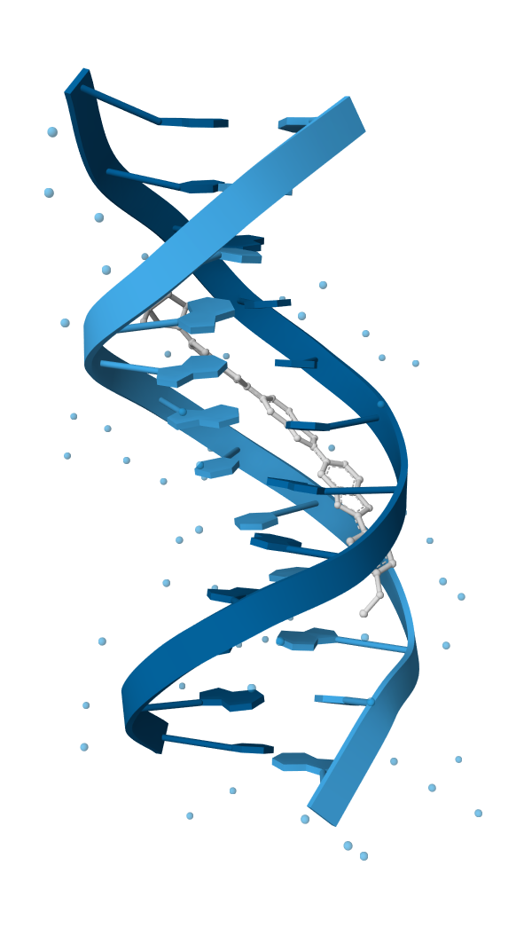 Nucleic acid structure (Mol* export)