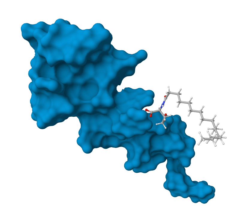 Peptide structure (Mol* export)