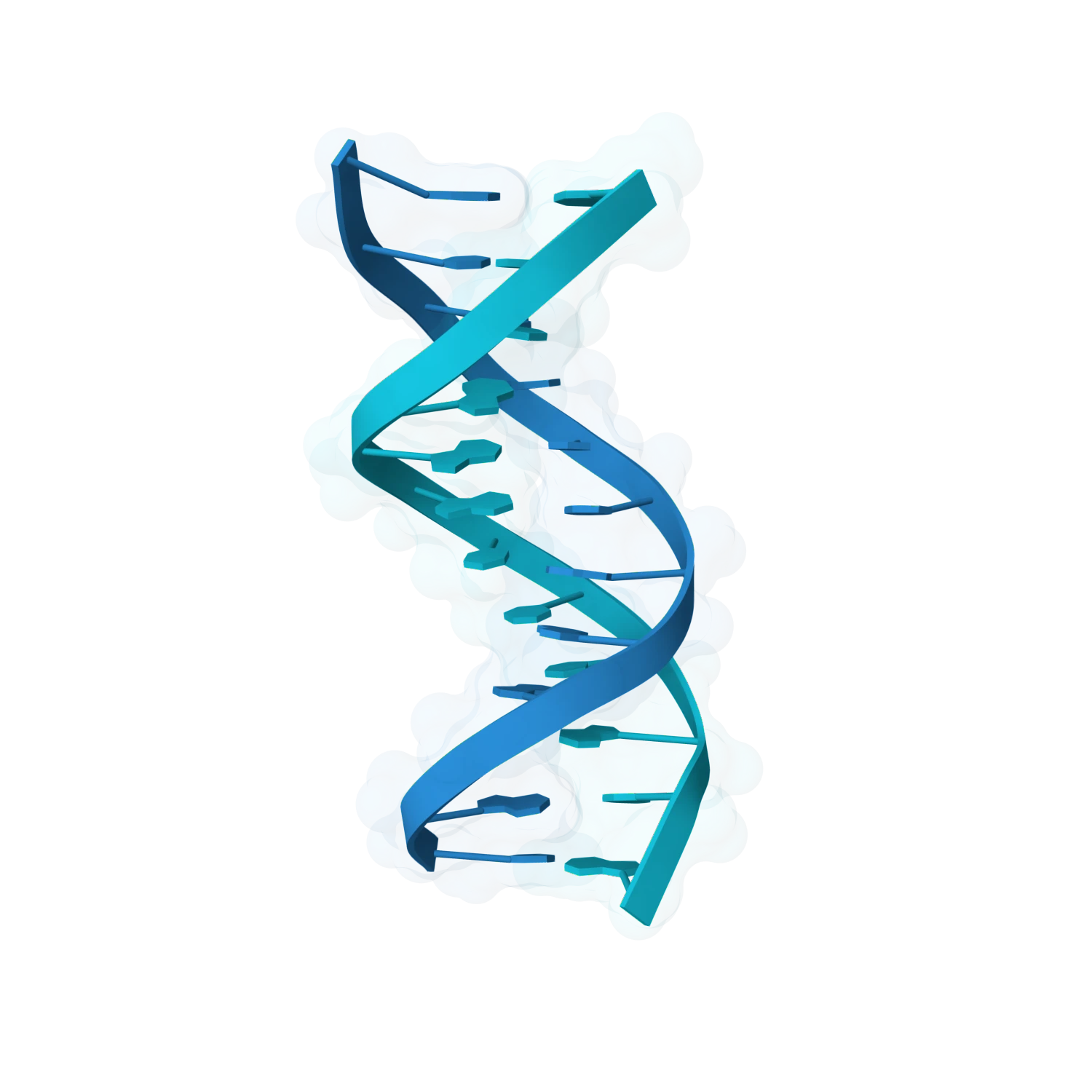DNA helix