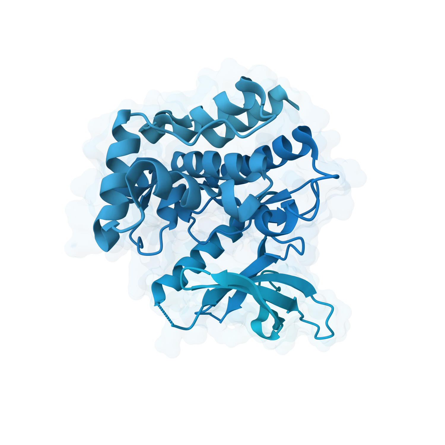 Protein binding pocket