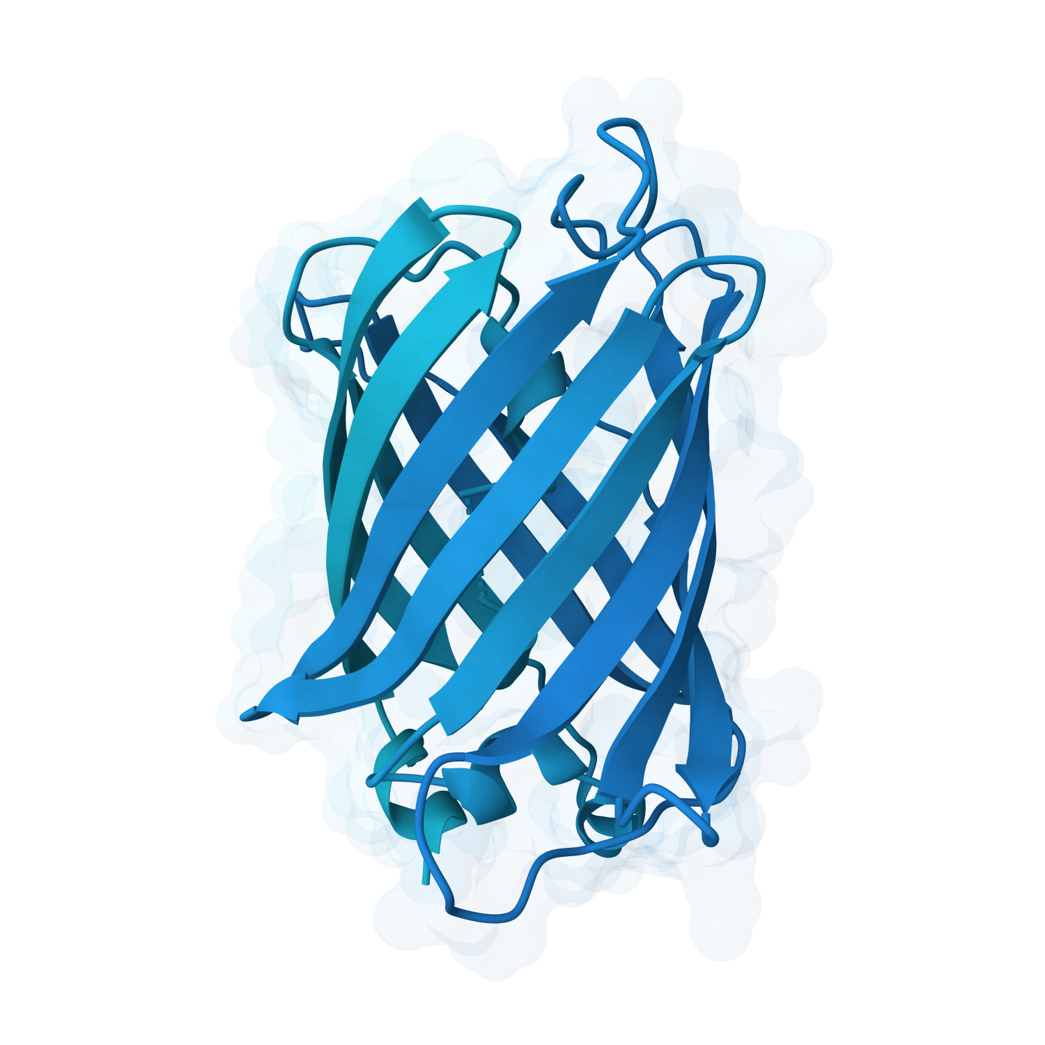 RosettaFold-3 | 1YFP