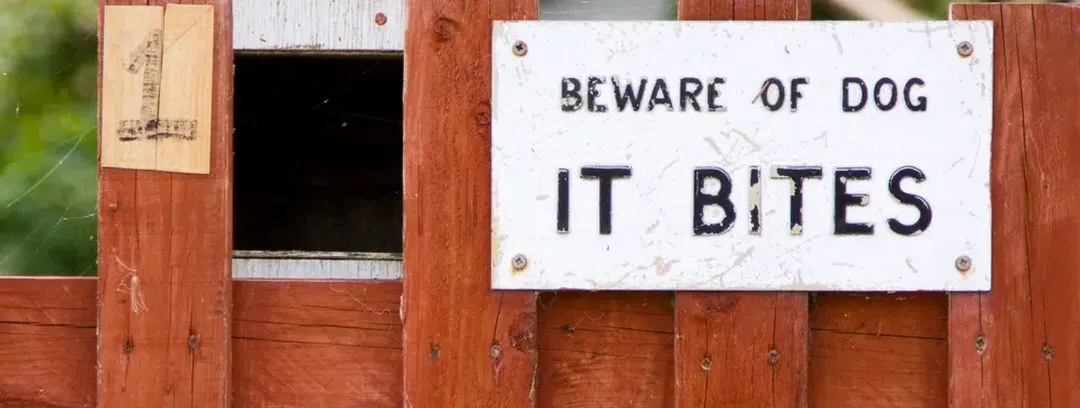 Dog Bites