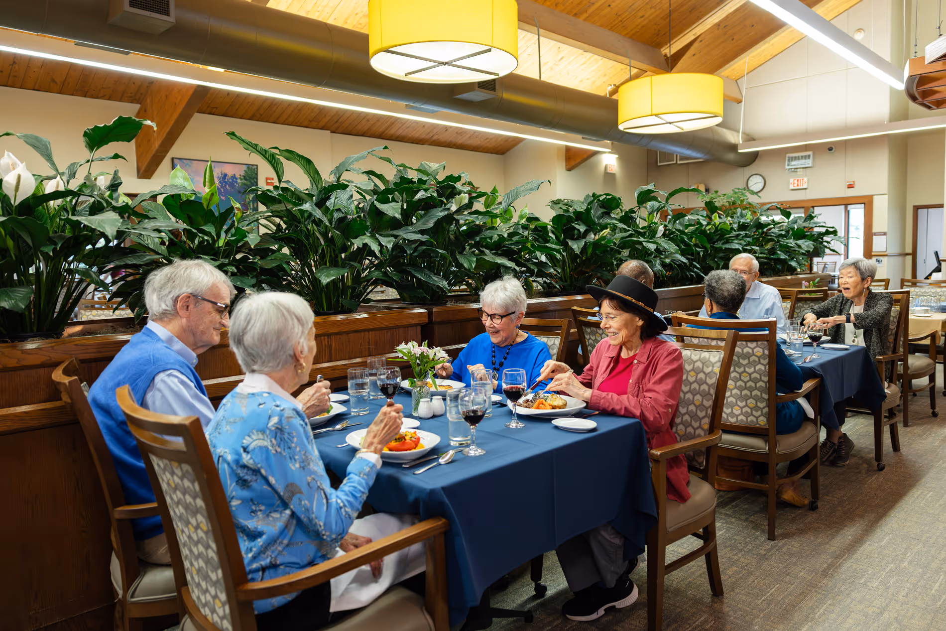 Group of older adults sitting at a restaurant table, enjoying a meal and conversing together.