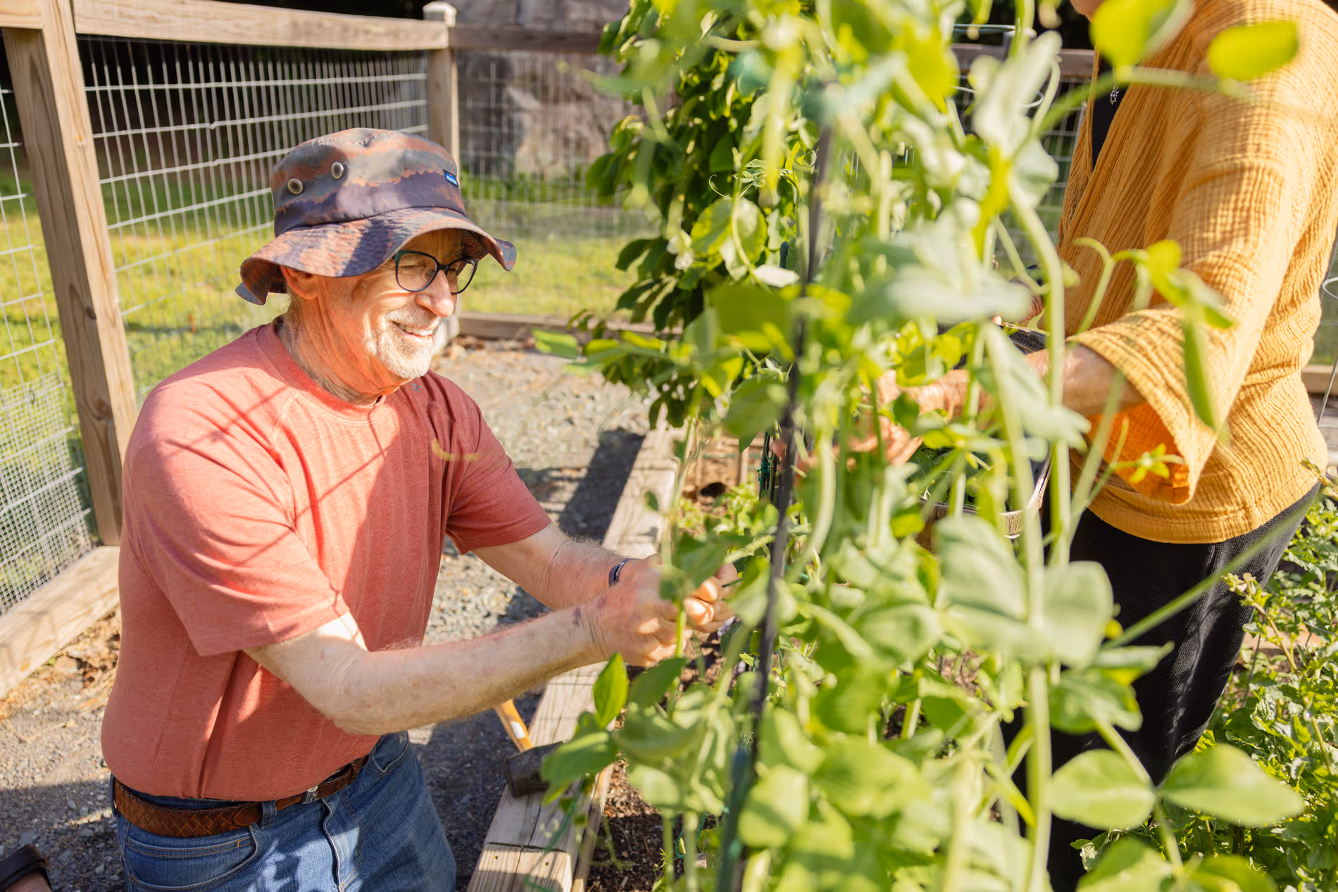 Man in a hat tending to plants in a garden with another person.