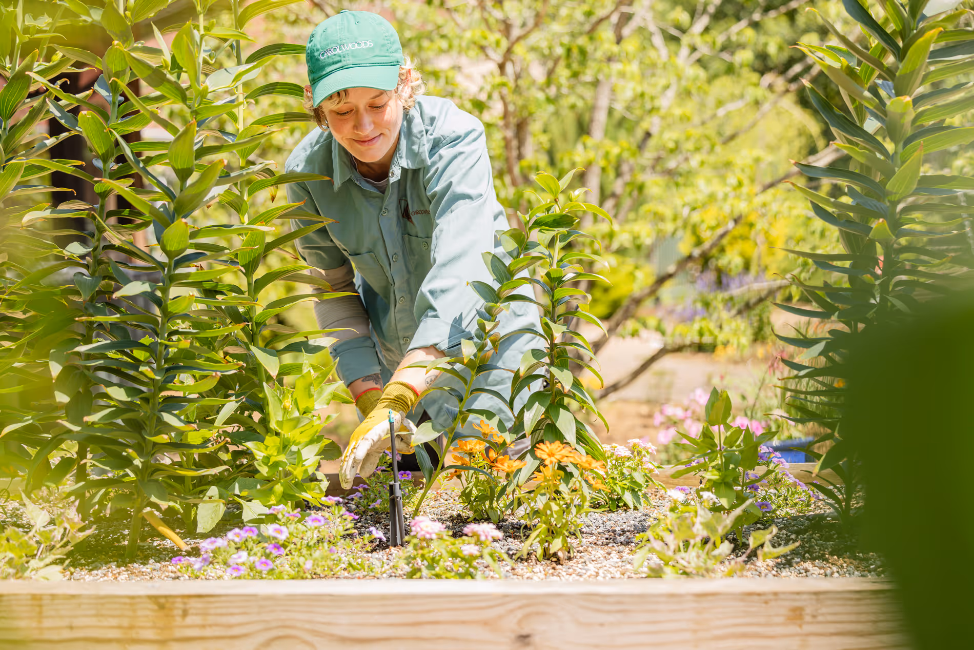 A person in a green hat and gloves bends over to tend to a garden.