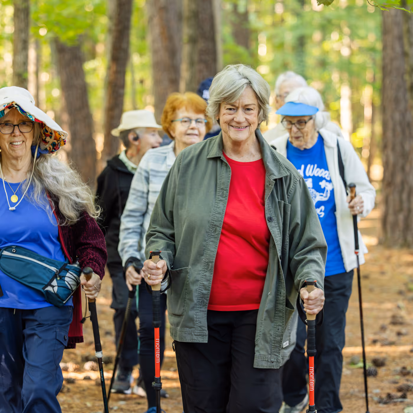 A group of elderly people walking with hiking poles on a forest trail.