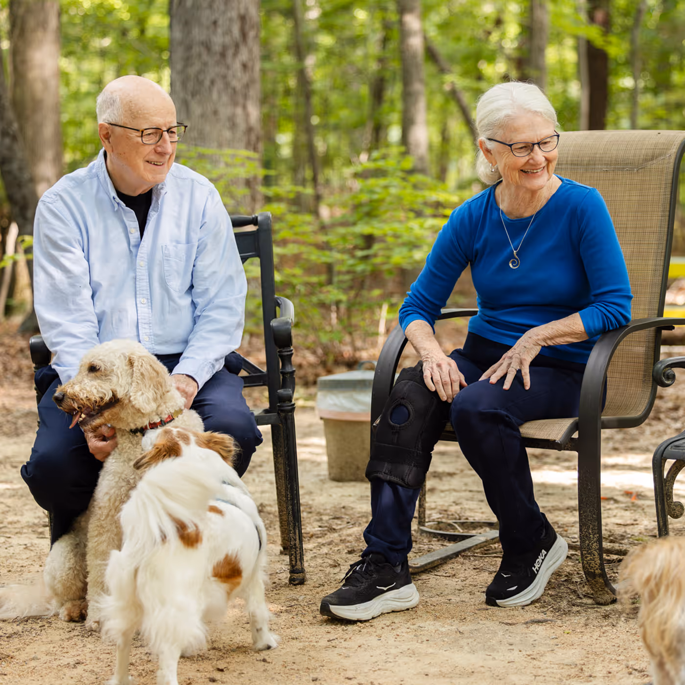An elderly man and woman sit outdoors with two dogs, smiling and enjoying the moment.