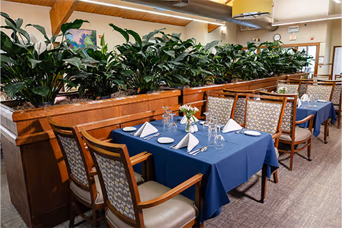 A dining table with blue tablecloth, set for four with white napkins and glasses.