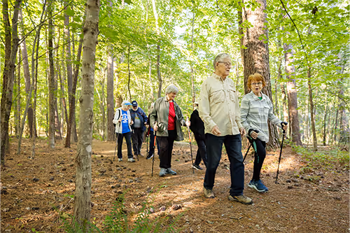 A group of people walking with trekking poles through a forested trail.