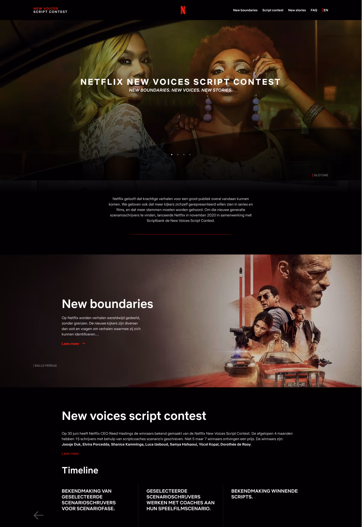 Website Netflix New Voices
