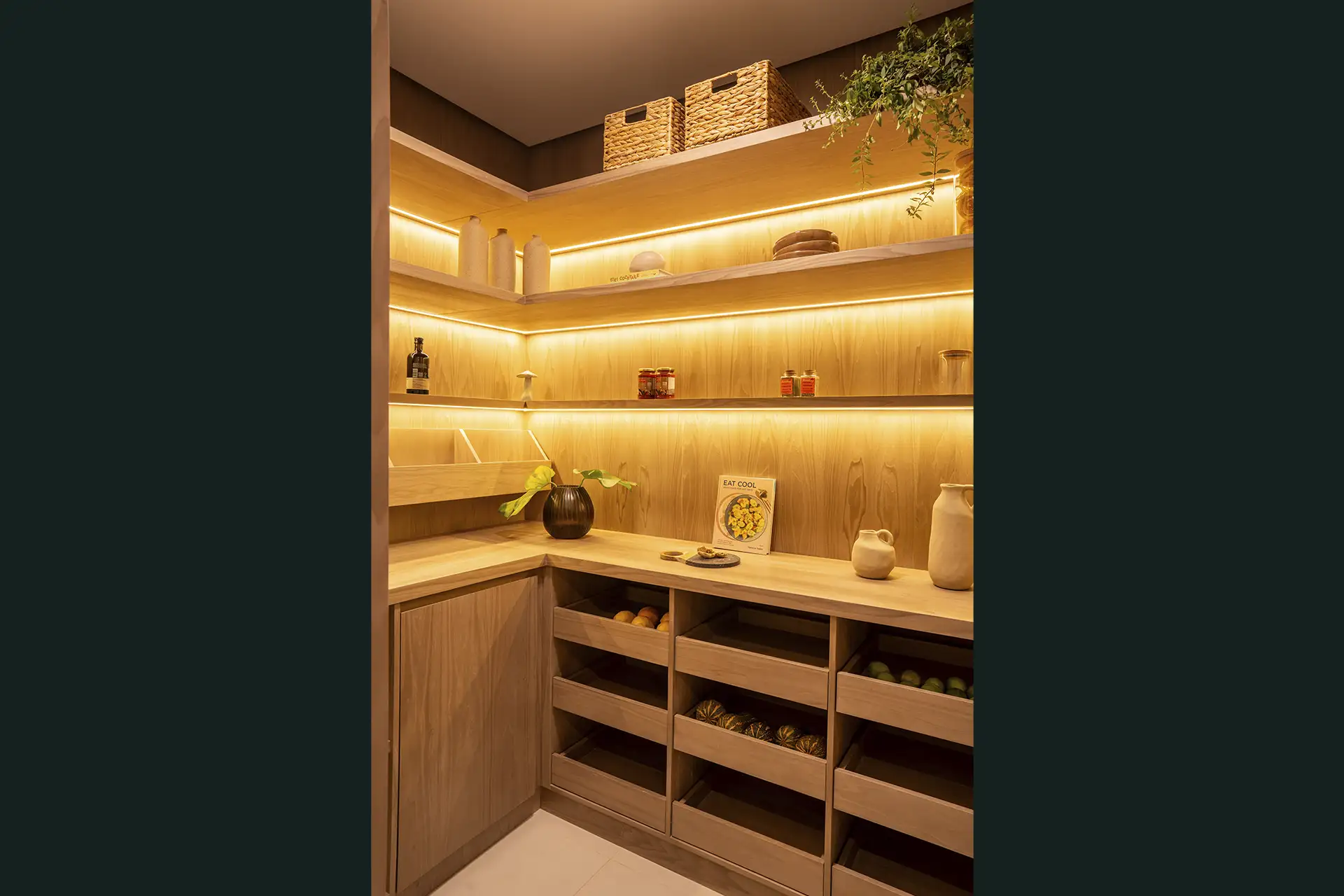 Imagem ilustrada do projeto