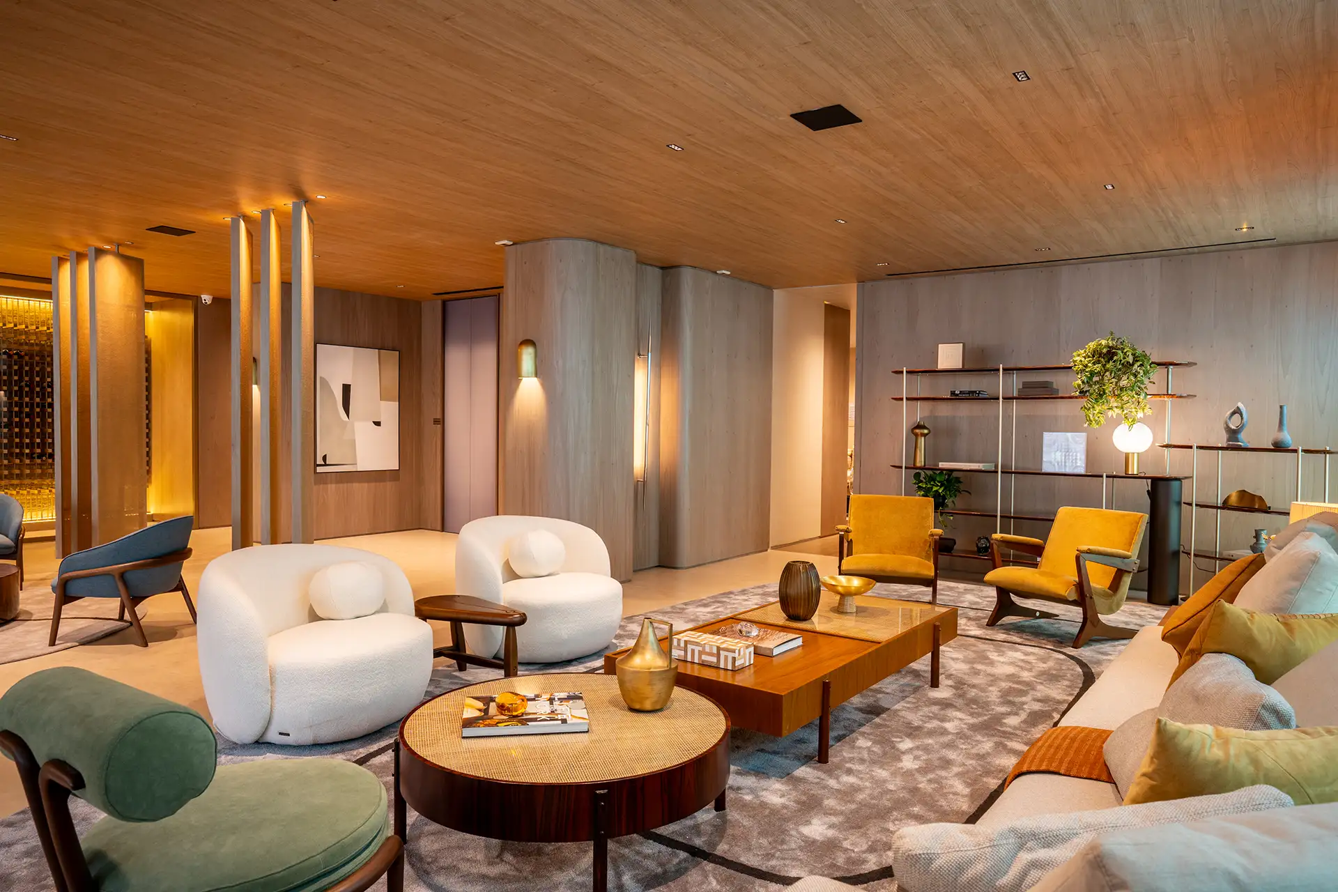 Imagem ilustrada do projeto