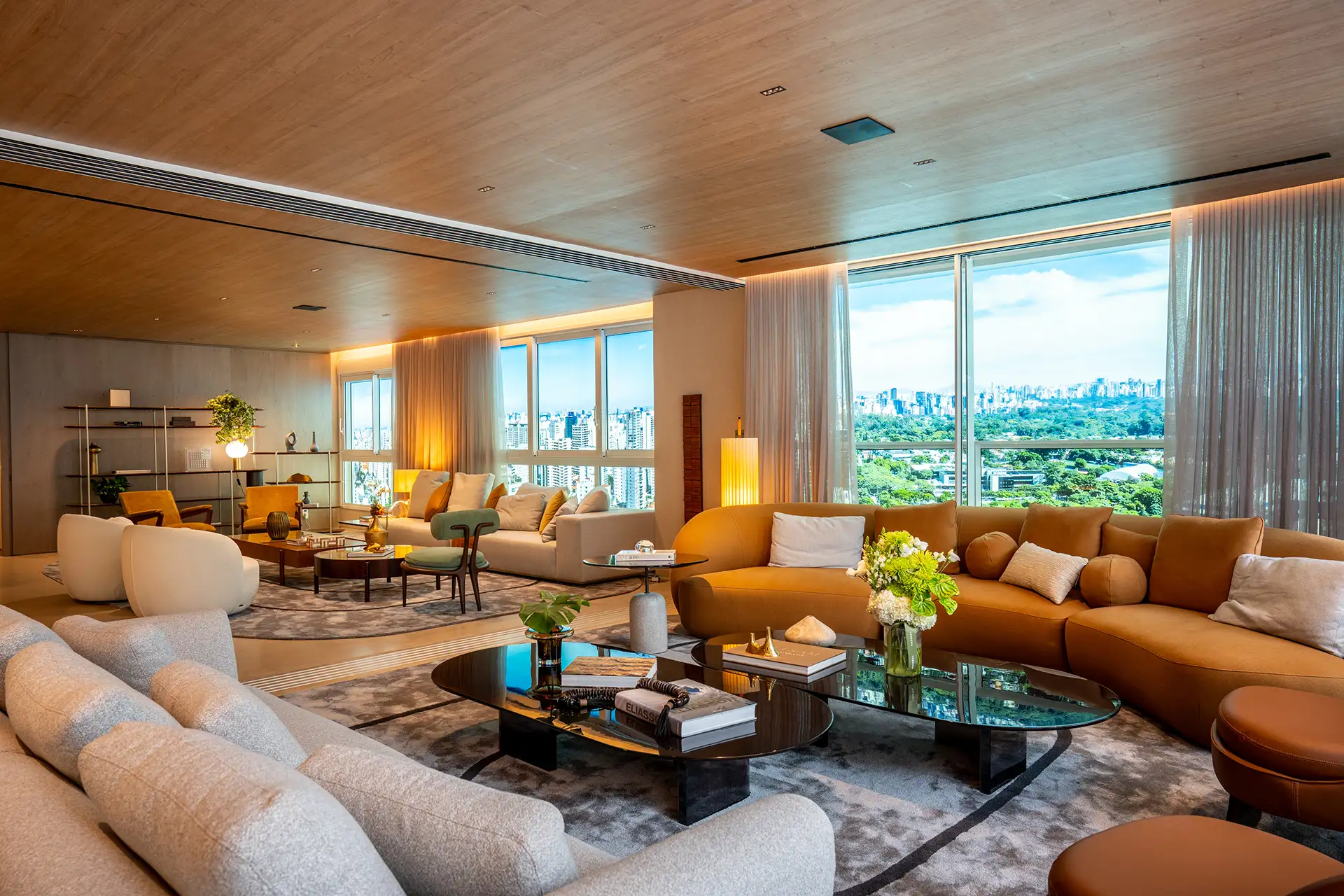 Imagem ilustrada do projeto