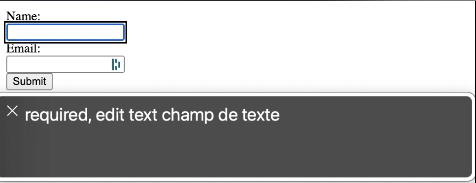 Screen reader that only says "required, edit text"
