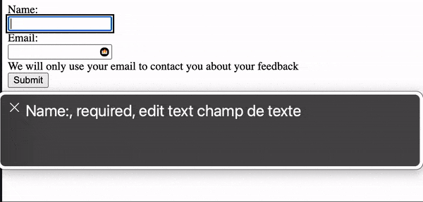 Gif of screen reader that announce the aria-describedBy