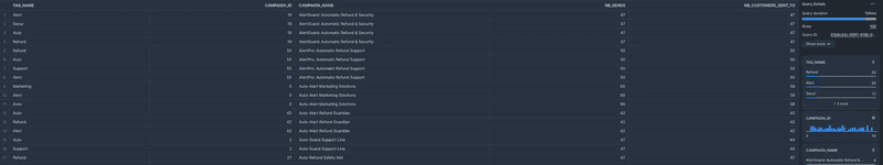Query preview of a Tag-Campaign dataset