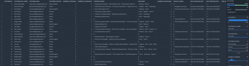 Query preview of a customer dataset