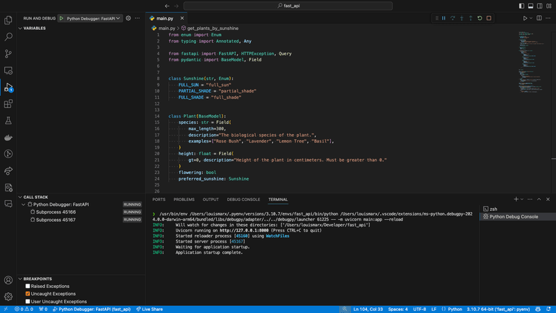 Launching the uvicorn server in debugger mode on VS Code