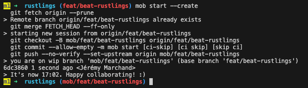 pair programming session start