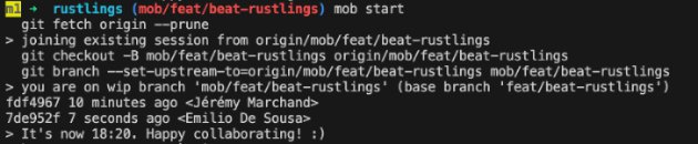 pair programming learn code