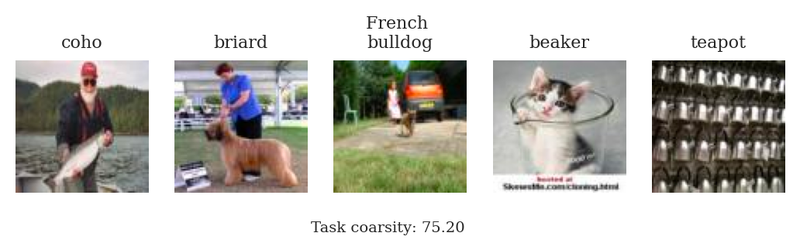 coho, briard, French bulldog, beaker, teapot