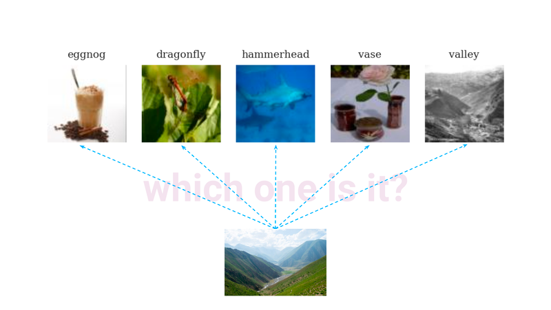 few-shot learning task