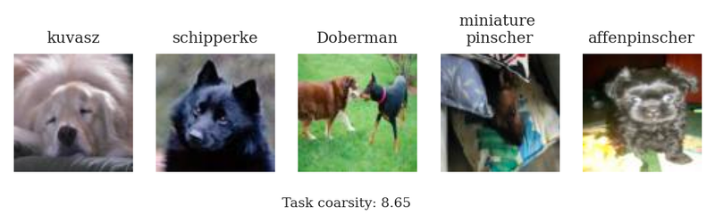 kuvasz, schipperke, dobberman, miniature pinscher, affenpinsher