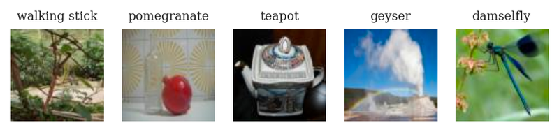 walking stick, pomegranate, teapot, geyser, damselfly