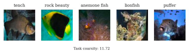 tench, rock beauty, anemone fish, lionfish, puffer