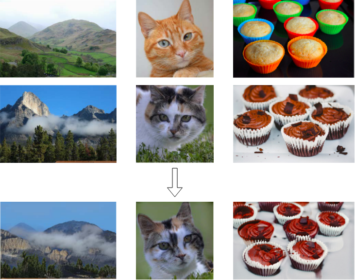 Three examples of photo-realistic style transfer.